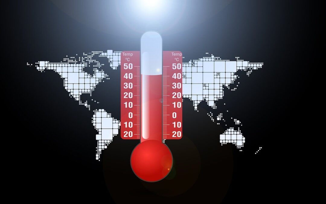 The Climate Change Hoax is a Globalist Equity Plan