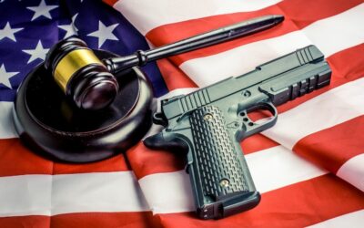 The 2nd Amendment, Protection fromBad Guys, and The Government
