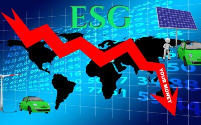 ESG and Capitalism Cannot Coexist
